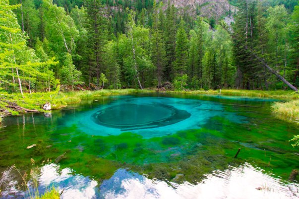 гейзер алтай